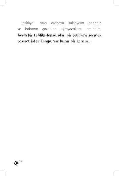 Produktbild: Cingo