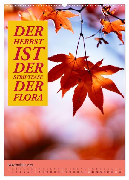 Produktbild: Die vier Jahreszeiten begleitet mit Spr&uuml;chen (Wandkalender 2026 DIN A2 hoch), CALVENDO Monatskalender