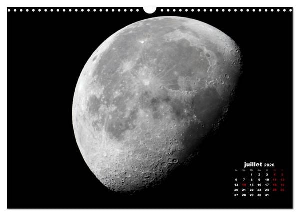 Produktbild: Phases de la lune (Calendrier mural 2026 DIN A3 vertical), CALVENDO calendrier mensuel