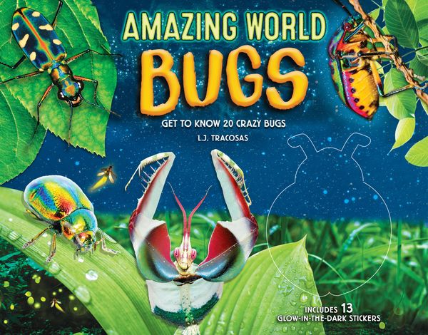 Produktbild: Amazing World: Bugs