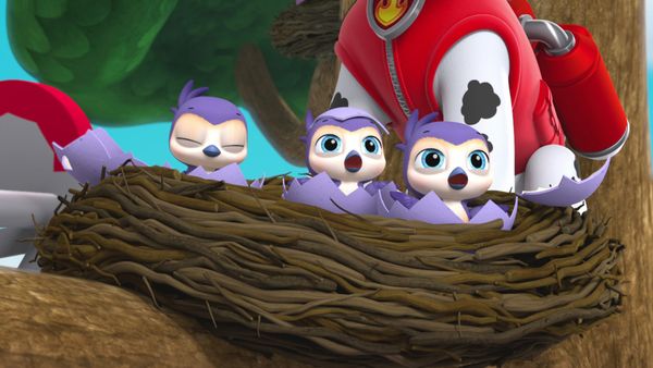 Produktbild: Paw Patrol - Ostern auf vier Pfoten