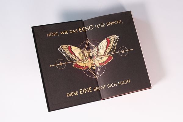 Produktbild: The Last One (Schicksalsber&Atilde;&frac14;hrt, Band 1)