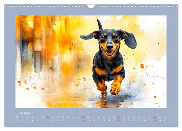 Produktbild: Dackelzauber. Charmante Begleiter im lieblichen Aquarell-Stil (Wandkalender 2026 DIN A3 quer), CALVENDO Monatskalender