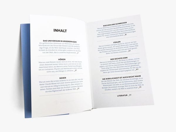 Produktbild: Die Wirklichkeit ist auch nicht wahr
