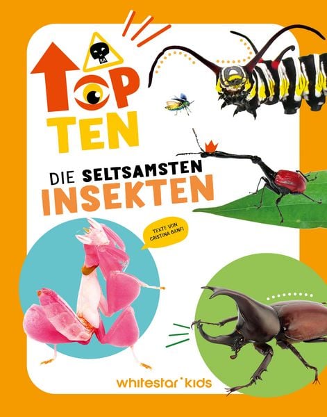 Top Ten die seltsamsten Insekten, Gebundene Ausgabe von , Edizioni White Star SrL, 9788863127959