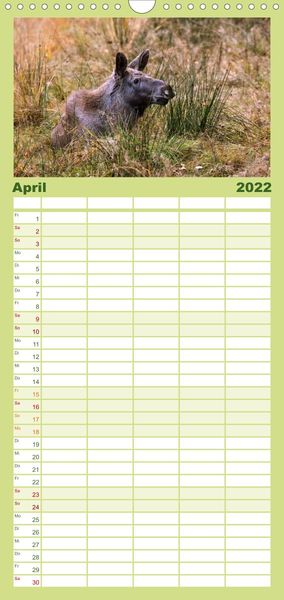 Produktbild: Familienplaner Die lieben Kleinen ... Tierkinder einfach zum Knuddeln (Wandkalender 2022 , 21 cm x 45 cm, hoch)