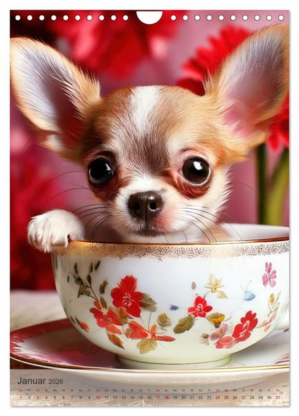 Produktbild: Kaffeepause mit Chihuahua - Kleine Freunde in gro&szlig;en Tassen (Wandkalender 2026 DIN A4 hoch), CALVENDO Monatskalender