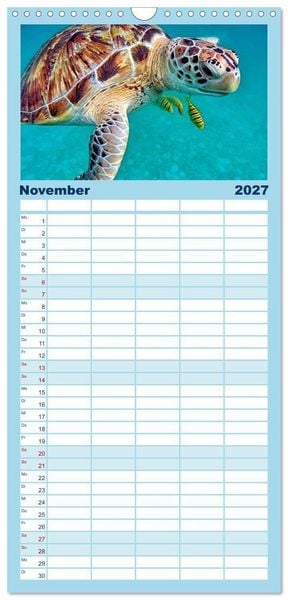 Produktbild: Familienplaner 2027 - Abenteuer Riff - bunte Unterwasserwelt mit 5 Spalten (Wandkalender, 21 x 45 cm) CALVENDO