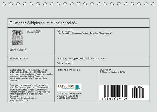 Produktbild: D&uuml;lmener Wildpferde im M&uuml;nsterland in schwarz und wei&szlig; (Tischkalender 2022 DIN A5 quer)