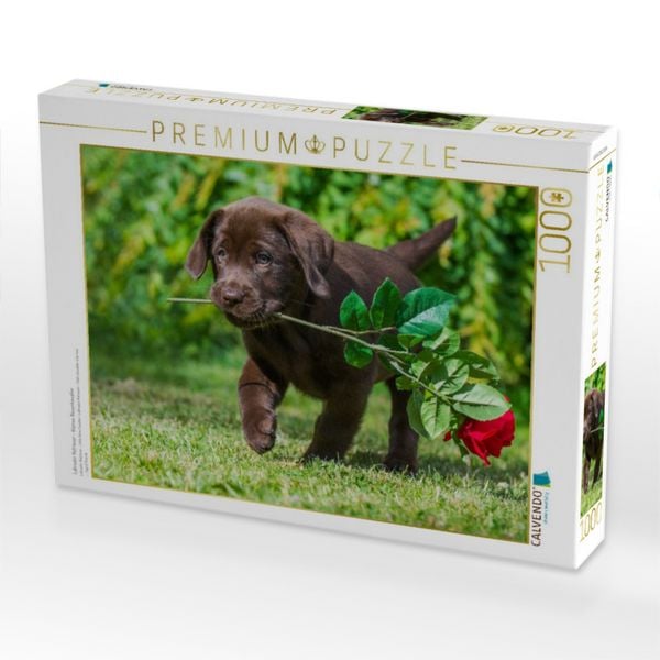 Produktbild: CALVENDO Puzzle Labrador Retriever - Kleiner Rosenkavalier | 1000 Teile Lege-Gr&ouml;&szlig;e 64x48cm Foto-Puzzle f&uuml;r gl&uuml;ckliche Stunden