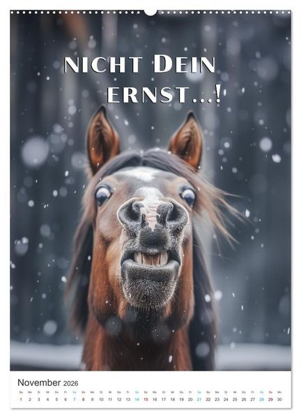 Produktbild: Lustige Tiere (Wandkalender 2026 DIN A2 hoch), CALVENDO Monatskalender