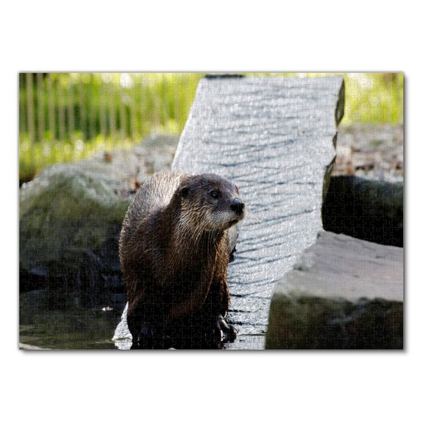 Produktbild: Lais Puzzle Otter 1000 Teile