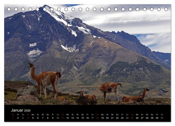 Produktbild: Im Nationalpark Torres del Paine (Chile) (Tischkalender 2026 DIN A5 quer), CALVENDO Monatskalender