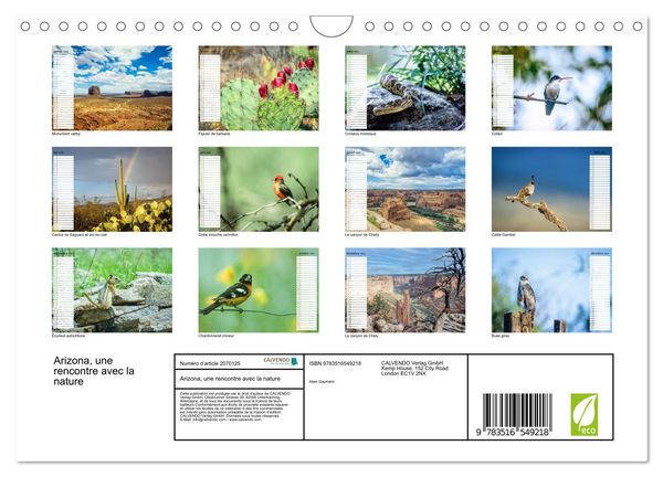 Produktbild: Arizona, une rencontre avec la nature (Calendrier mural 2026 DIN A4 vertical), CALVENDO calendrier mensuel