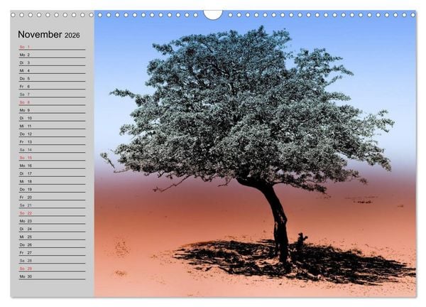Produktbild: Magische B&auml;ume (Wandkalender 2026 DIN A3 quer), CALVENDO Monatskalender