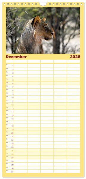 Produktbild: Familienplaner 2026 - Kgalagadi - Fauna und Wildtiere in der Kalahari mit 5 Spalten (Wandkalender, 21 x 45 cm) CALVENDO