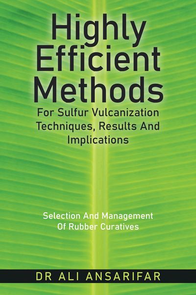 Produktbild: Highly Efficient Methods for Sulfur Vulcanization Techniques, Results and Implications
