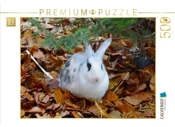 CALVENDO Puzzle Kaninchen im Herbstlaub | 500 Teile Lege-Größe 48 × 36 cm Foto-Puzzle für Erwachsene