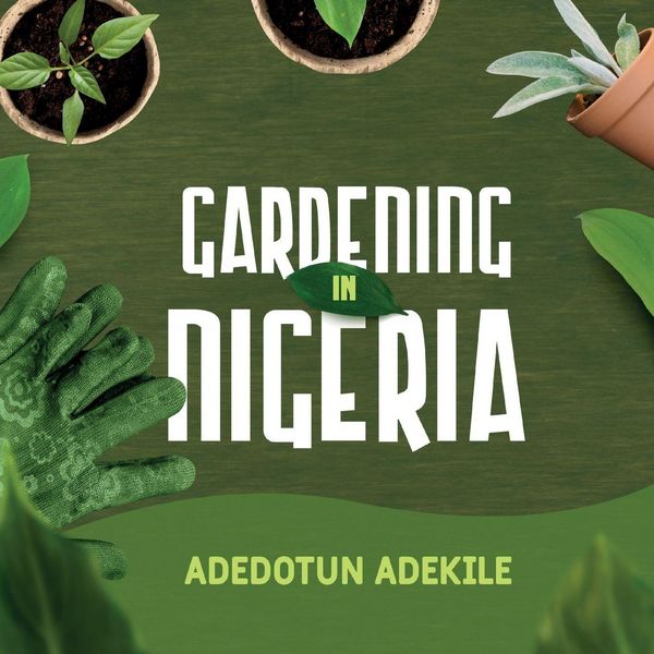 Produktbild: Gardening in Nigeria