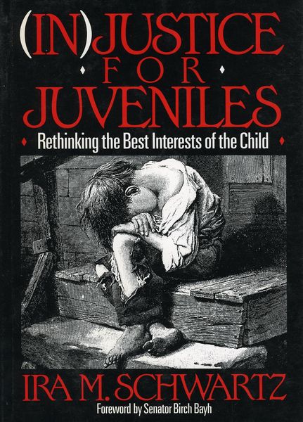 Produktbild: (In)Justice for Juveniles