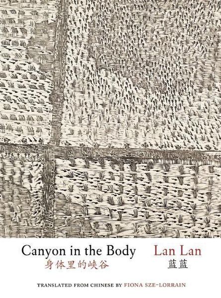 Produktbild: Canyon in the Body
