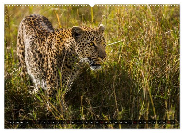 Produktbild: Kenia 2026 (hochwertiger Premium Wandkalender 2026 DIN A2 quer), Kunstdruck in Hochglanz