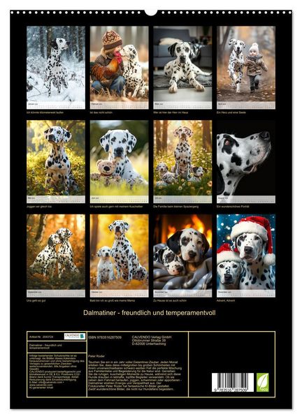 Produktbild: Dalmatiner - freundlich und temperamentvoll (hochwertiger Premium Wandkalender 2026 DIN A2 hoch), Kunstdruck in Hochglanz