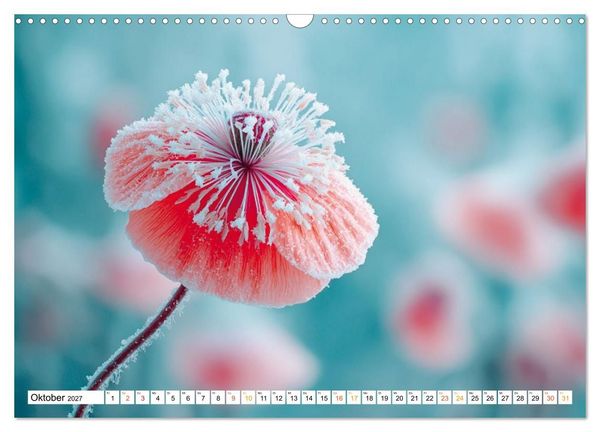 Produktbild: Mohn im Atem des Winters (Wandkalender 2027 DIN A3 quer), CALVENDO Monatskalender