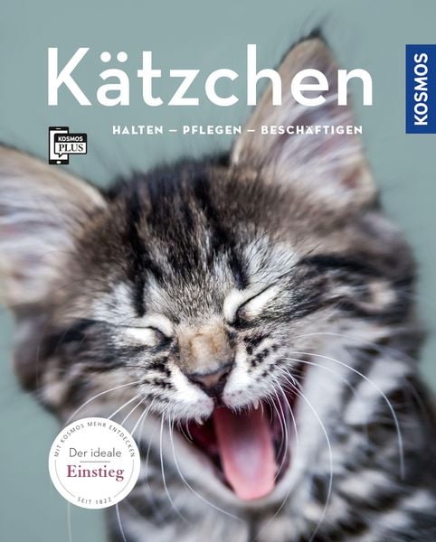 Produktbild: K&auml;tzchen