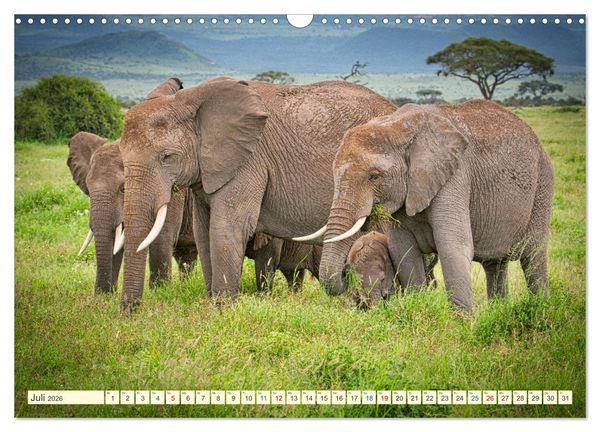 Produktbild: Die Riesen der Savanne (Wandkalender 2026 DIN A3 quer), CALVENDO Monatskalender