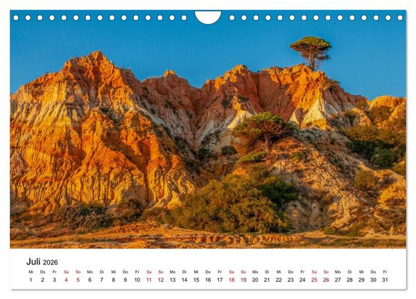 Produktbild: B&auml;ume - Wunder der Natur (Wandkalender 2026 DIN A4 quer), CALVENDO Monatskalender