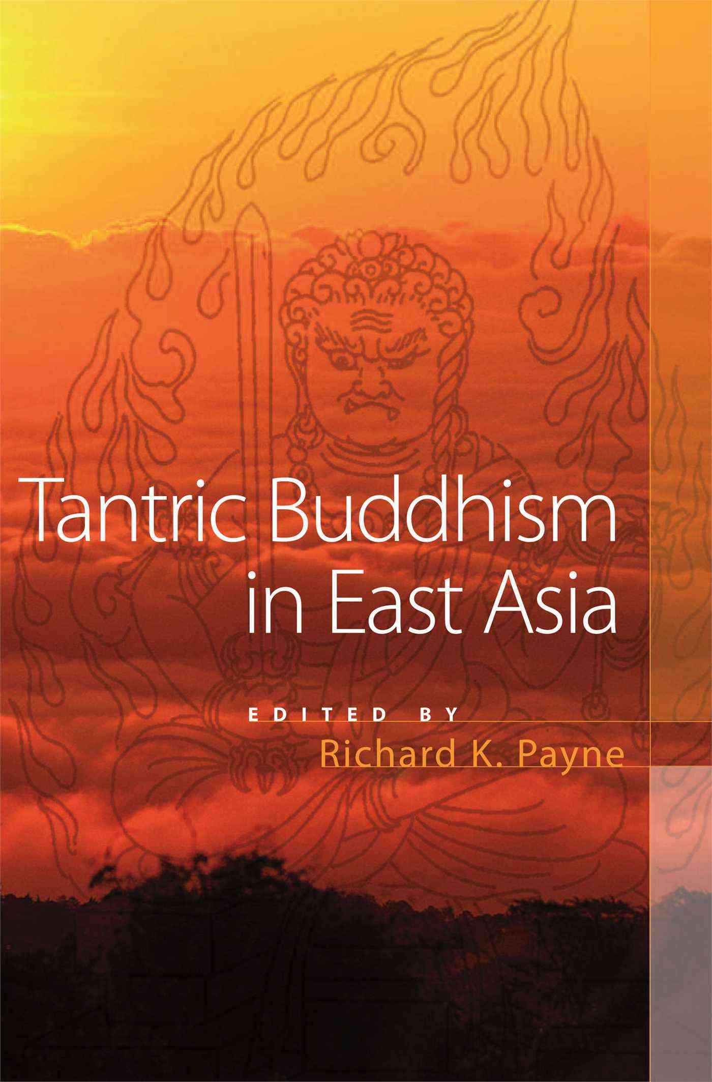 Produktbild: Tantric Buddhism in East Asia