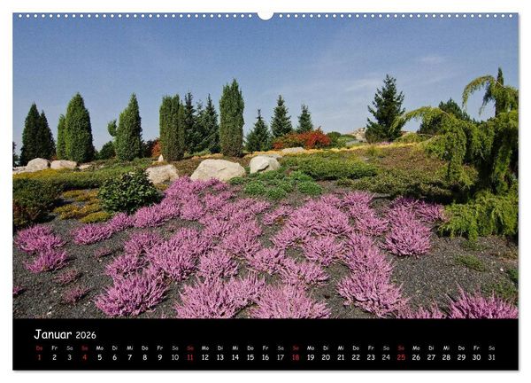 Produktbild: Findlingspark Nochten 2026 (hochwertiger Premium Wandkalender 2026 DIN A2 quer), Kunstdruck in Hochglanz