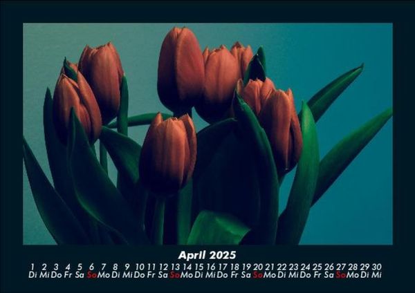 Produktbild: Blumentr&auml;ume 2025 Fotokalender DIN A5