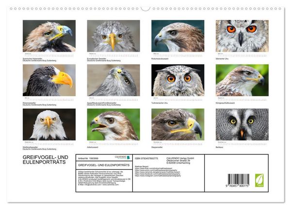 Produktbild: GREIFVOGEL- UND EULENPORTR&Auml;TS (Wandkalender 2026 DIN A2 quer), CALVENDO Monatskalender
