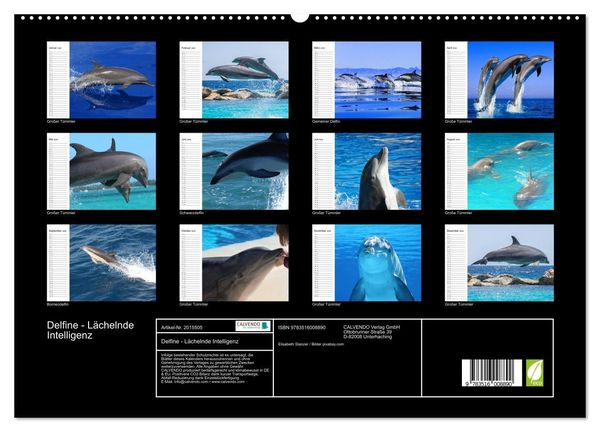 Produktbild: Delfine - L&auml;chelnde Intelligenz (hochwertiger Premium Wandkalender 2026 DIN A2 quer), Kunstdruck in Hochglanz