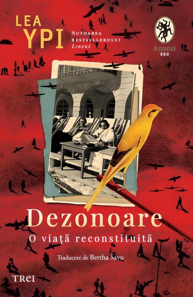 Produktbild: Dezonoare. O via&iquest;a reconstituita