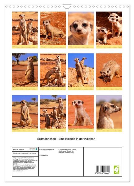 Produktbild: Erdm&auml;nnchen - Eine Kolonie in der Kalahari (Wandkalender 2026 DIN A3 hoch), CALVENDO Monatskalender
