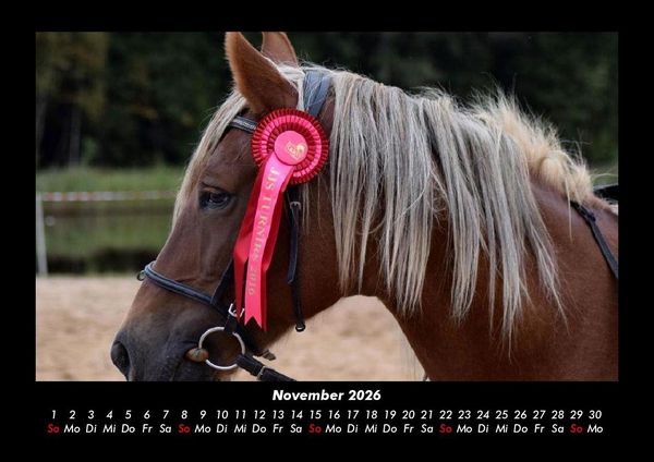 Produktbild: Pferde Kalender 2026 Fotokalender DIN A3