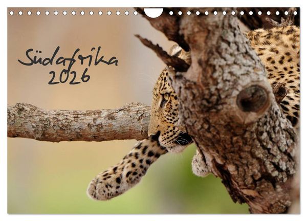 Südafrika (Wandkalender 2026 DIN A4 quer), CALVENDO Monatskalender