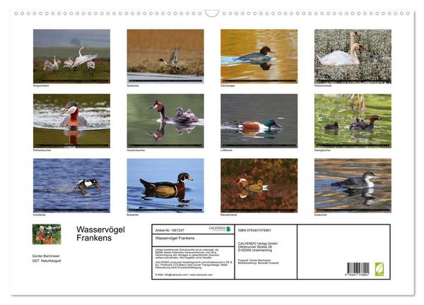 Produktbild: Wasserv&ouml;gel Frankens (Wandkalender 2026 DIN A2 quer), CALVENDO Monatskalender