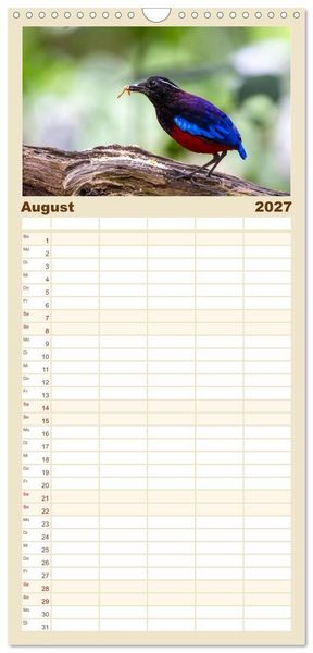 Produktbild: Familienplaner 2027 - Zwischen Nebel und Baumriesen - V&ouml;gel Borneos mit 5 Spalten (Wandkalender, 21 x 45 cm) CALVENDO