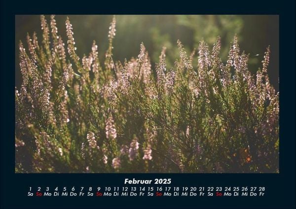 Produktbild: Blumenkalender 2025 Fotokalender DIN A4