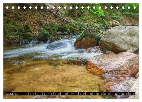 Produktbild: Verzauberter Harz (Tischkalender 2026 DIN A5 quer), CALVENDO Monatskalender