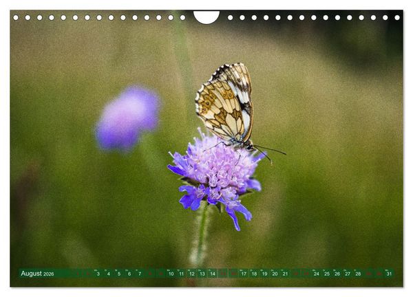 Produktbild: Wilde Sch&ouml;nheit - Raue Alb (Wandkalender 2026 DIN A4 quer), CALVENDO Monatskalender