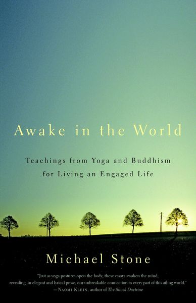 Produktbild: Awake in the World