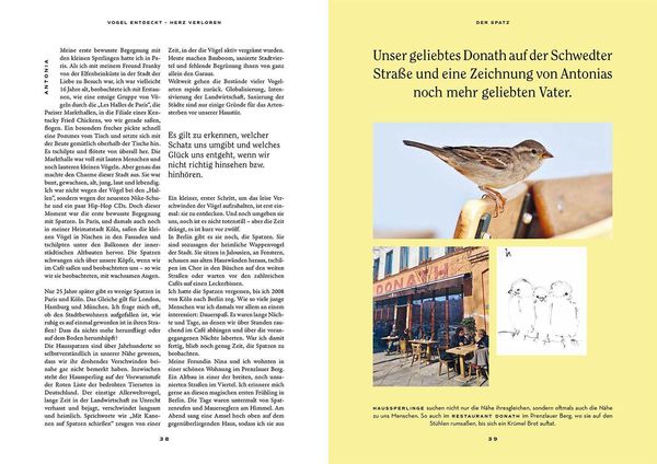 Produktbild: Vogel entdeckt - Herz verloren