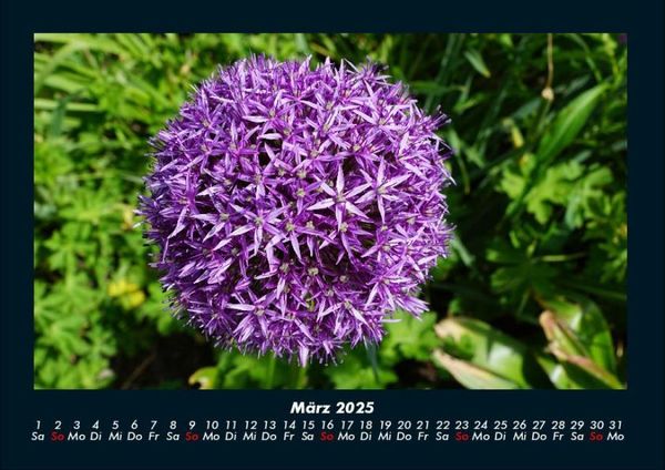 Produktbild: Blumentraum 2025 Fotokalender DIN A4