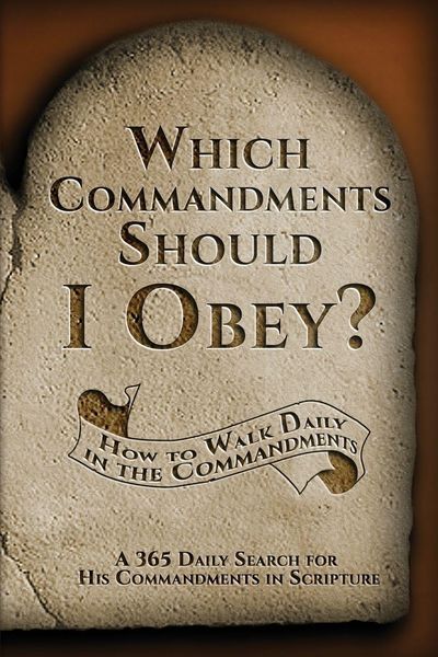 Produktbild: Which Commandments Should I Obey?