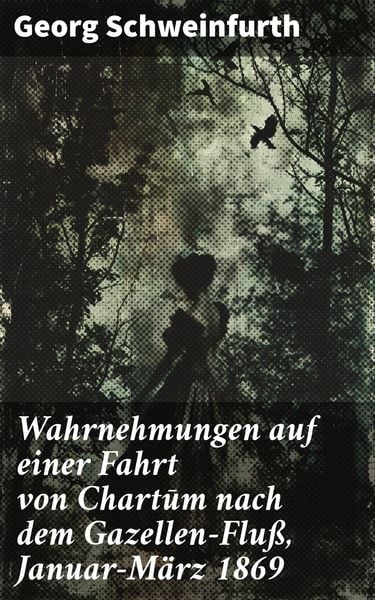 Produktbild: Wahrnehmungen auf einer Fahrt von Chartum nach dem Gazellen-Flu&szlig;, Januar-M&auml;rz 1869